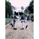 thumbnail image 3 of Disfraz de Ram Rem Re:zero Kara Hajimeru Isekai Seikatsu, traje negro de sirvienta, delantal para mujer, disfraces de Halloween, 3 of 4