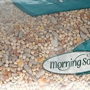 Morning Song Clean and Free Wild Bird Food, 5 lbs.