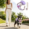 thumbnail image 2 of Miaoju Dog Backpack Harness With Storage Pockets, Lightweight Breathable Adjustable Pet Vest For Outdoor Travel Camping Daily Walking, 2 of 6