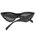 thumbnail image 4 of tredstone Lunettes de Soleil Mode Femmes Hommes Lunettes Multicolores Monture en Plastique Style de Rue Lunettes de Protection, 4 of 8