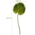 thumbnail image 2 of DRAFIDEEP 1Pcs Artificial Palm Fronds For Decoration In Realistic Style, 2 of 8