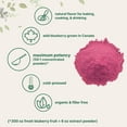 thumbnail image 4 of Organic Blueberry Extract 50:1 Concentrated Powder, 10 Ounce | Freeze-Dried Wild Blueberries Source, No Sugar & Additives | Great Flavor for Drinks, Smoothie, & Beverages, 4 of 7