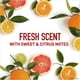 thumbnail image 3 of Old Spice High Endurance Fresh Scent Men's Deodorant Twin Pack 6 Oz by Old Spice, 3 of 8