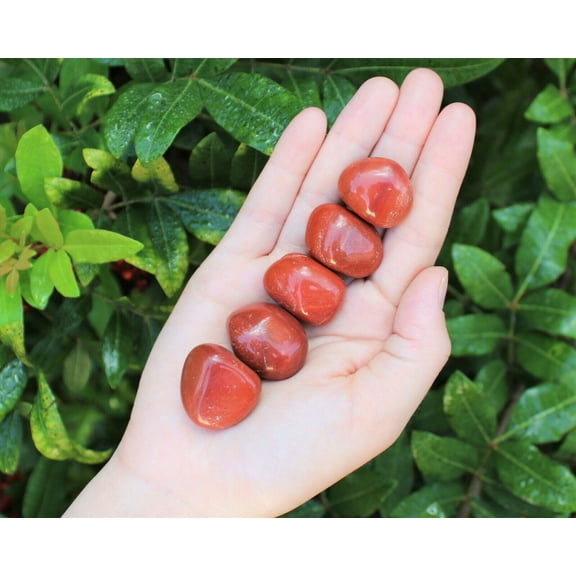 5 Medium Red Jasper Tumbled Stone Crystal Healing Gemstone Chakra