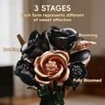 thumbnail image 4 of Ramo de flores APENGBAOL de 255 piezas con rosas negras, 4 of 7