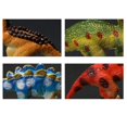 thumbnail image 3 of 12 Pcs/set Dinosaur Model Toy Tyrannosaurus Rex Plastic Animal Educati, 3 of 3