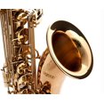 thumbnail image 3 of Fever Tenor Saxophone Lacquered Gold with Case, Mouthpiece and Reed, 3 of 6