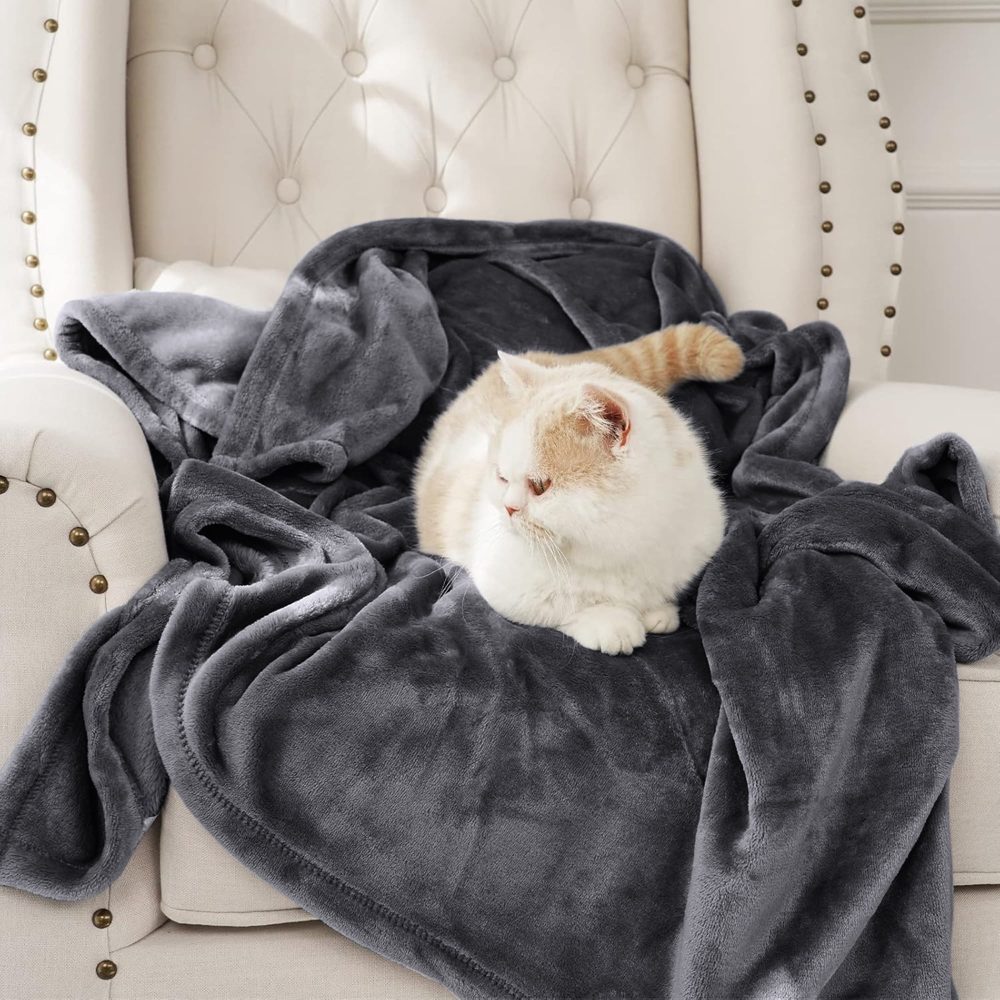 IR Imperial Rooms Flannel Fleece Bed Blanket 310 GSM Microfiber Lightweight Warm Fluffy Cozy Plush Adult Gray Queen Size