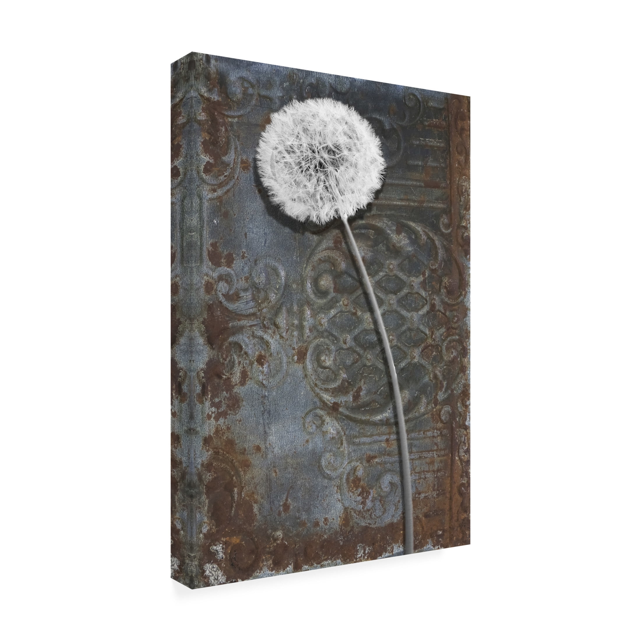 Canvas Wall Art - Sasha 'Engraved Dandelion' Wall Art for Living Room, Bedroom, or Office Décor by Trademark Fine Art - 12 x 19 Inches