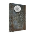 thumbnail image 4 of Canvas Wall Art - Sasha 'Engraved Dandelion' Wall Art for Living Room, Bedroom, or Office Décor by Trademark Fine Art - 22 x 32 Inches, 4 of 4