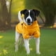 thumbnail image 2 of Impermeable Para Perro, Artículos Para Mascotas, Poncho Integrado Para El Pecho Y La Espalda De Perros Pequeños Y Medianos, Reflectante, Con Forma De Osito., 2 of 2