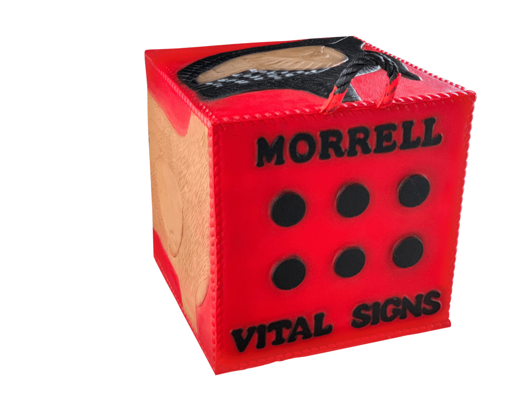 New Morrell Vital Signs Foam Archery Target For Any Bow And Any Arrow Tip