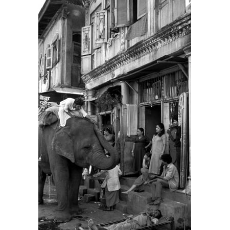 An Elephant Collects Tips from the Prostitutes on Falkland Road for Good Luck, Mumbai, 1980 Print Wall (Best Prostitutes In Mumbai)