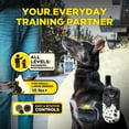 thumbnail image 2 of Collar electrónico de entrenamiento remoto Dogtra 200iQ 100 niveles para perros, 2 of 9