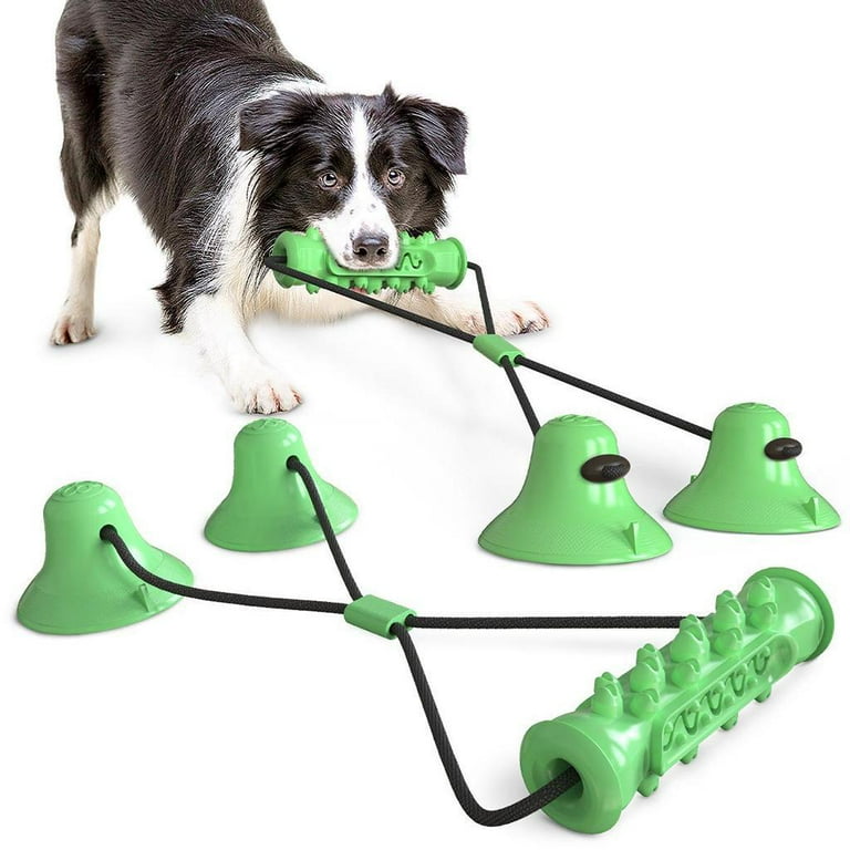 Dog toy that suctions to the floor hot sale