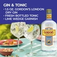 thumbnail image 4 of Gordon's London Dry Gin, 750 mL PET Bottle, 40% ABV, 4 of 10