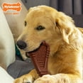 thumbnail image 5 of Nylabone Power Chew Arch Bone Dog Dental Chew Toy Beef Large (1 Count), 5 of 9