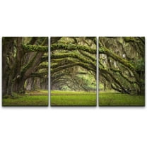 wall26 - 3 Piece Canvas Wall Art - Oaks Avenue Charleston SC Plantation Live Oak Trees Forest Landscape - Modern Home Art Stretched and Framed Ready to Hang - 24"x36"x3 Panels
