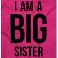 thumbnail image 2 of Big Sister Older Sibling Family Youth T Shirt Tee Girls Infant Toddler Brisco Brands 12M, 2 of 5