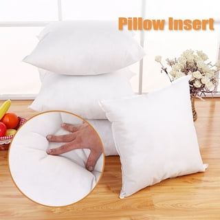  Fhdang Decor 45cm x 45cm Soft Cushion Pad Pillow