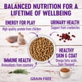 thumbnail image 4 of Wellness Complete Health Natural Grain Free Deboned Chicken & Chicken Meal Dry Kitten Food, 2.25 Pound Bag, 4 of 8