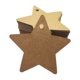 thumbnail image 2 of Etiquetas en forma de estrella BLESIY 100 Etiquetas Colgantes, 2 of 7