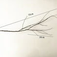 thumbnail image 5 of 1, 5 of 8