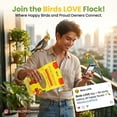 thumbnail image 4 of Birds LOVE Natural Garden Blend Bird Food for Small Birds, 2 lb - Hand Packed in USA, All Natural Mix with Fruits, Nuts, Vegetables, Seeds & Grains for Lovebirds, Cockatiels, Budgies, Parakeets & Par, 4 of 10