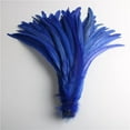 thumbnail image 4 of 50pcs Natural Chick Tail Feathers 25-40cm / 10-16inch Clothing Decoration Stage Performance Rooster Tail Feathers Plume Red 35-40cm, 4 of 6
