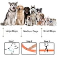 thumbnail image 4 of Collier Lumineux pour Chien Rechargeable par USB - Longueur Réglable Collier de Sécurité pour Chiens et Chats, 4 of 6