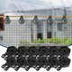 thumbnail image 1 of Shade Cloth Clips Film And Net Clip Set Stable Tent Greenhouse Accessories For Enhanced Protection, 1 of 5
