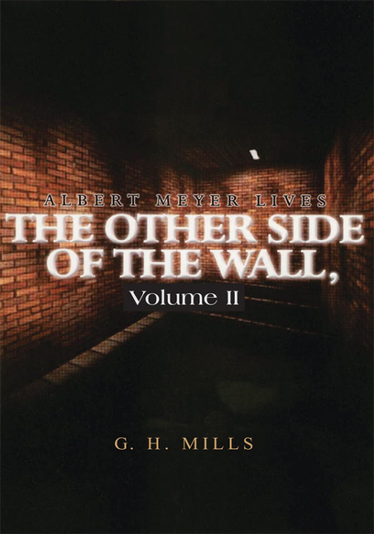 I Want To Be A Wall Vol 3 The Other Side of the Wall, Vol 2 - eBook - Walmart.com - Walmart.com