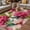 Crimson Green Beige, variant on Pink Floral Outdoor Rug for Patio/Deck/Porch, Non-Slip Large Area Rug 6 x 9 Ft, Watercolor Flowers Leaves Plants Watercolor Indoor Outdoor Rugs Washable Area Rugs, Camping Rug Carpet Runner