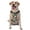 With Accessories, variant on Vsdgher Labrador Retriever Dog Pattern Dog Harness,No Pull Pet Harness with Soft Padded Handle,Adjustable Reflective Vest with 2 Buckles,4 Slide Buckles,S-XL Large