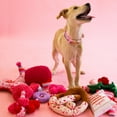 Packed Party Valentine's Day Tennis Ball Dog Toy, 3pk, 2.5"