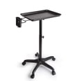 thumbnail image 1 of Plateau d'Instruments de Salon en Aluminium, Hauteur Réglable Chariot Station sur Roues pour Tatouage Spa Service de Beauté Support Outils Rangement (Argent, Style 2), 1 of 4