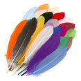 thumbnail image 3 of 25 plumas de colores variados, colores vibrantes, suaves, elegantes, plumas naturales ampliamente utilizadas para manualidades, decoración de bricolaje, 3 of 15