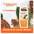 thumbnail image 3 of Shampoo Palmer's Cocoa Butter Formula cocoa butter retención de longitud 400 ml, 3 of 4