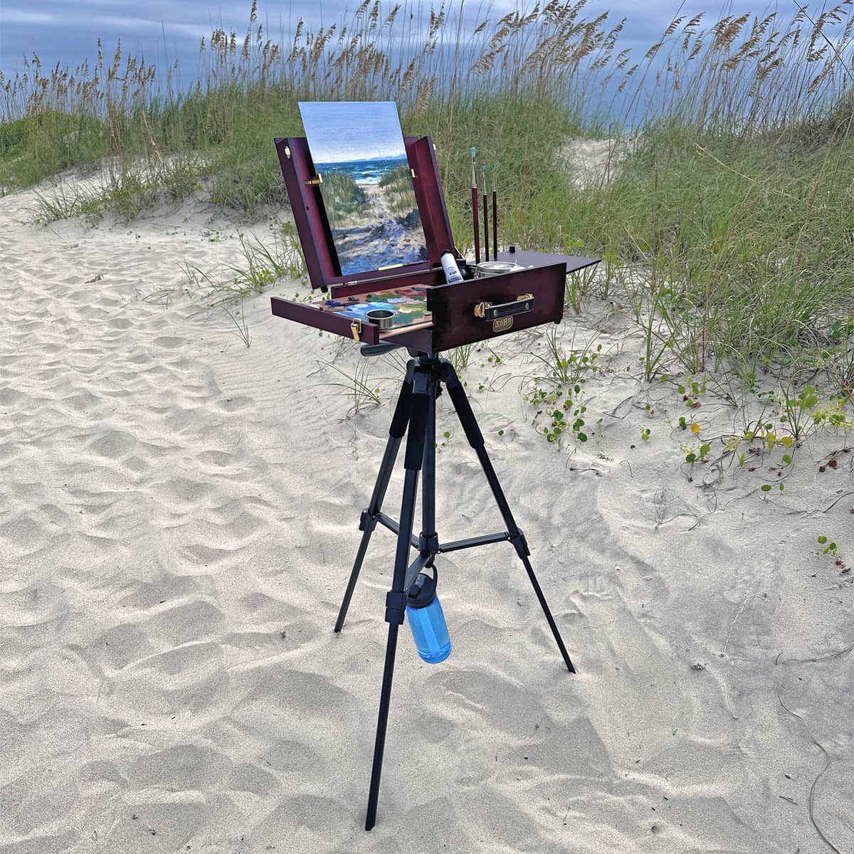 Creative Mark Apex Tripod for Camera - Lightweight Aluminum Camera Tripod Stand with 360° Pan, 90° Forward Backward & Side Tilt, Adjustable Height, Quick-Release Plate and Nylon Carrying Case