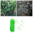thumbnail image 4 of Red de Enrejado de Plástico Soporte Verde para s de Frijol Fruto - Los 2x10m Sunnimix Red de enrejado, 4 of 8