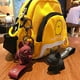 thumbnail image 3 of LLavero de perro, llavero de Bulldog, llavero de perro de dibujos animados, llavero de Bull Dog, llavero de Bulldog Francés para bolso de coche, mochila, decoración de monedero JFHHH pequeña, 3 of 5
