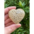 thumbnail image 3 of Fossil Coral Gemstone Hearts, Polished Fossil Coral Puffy Hearts, Fossil Coral Palm Stone, Fossil Coral Heart (2 Hearts）, 3 of 9