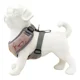 thumbnail image 4 of Pechera Arnes Ajustable Con Correa Para Perro, 4 of 8