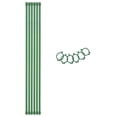 thumbnail image 2 of Anvazise 6Pcs/12pcs Plant Support Stakes with Rings Floral Arrangements Growing Vegetables Green Plant Support Sticks Garden Supplies 6pcs 40cm, 2 of 13