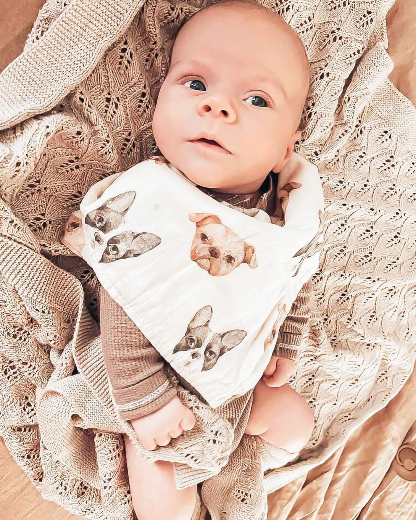 Muslin Swaddle - Frenchie vs Pug