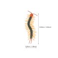 thumbnail image 2 of 1 Ensemble Figurine Cycle de Vie Centipede Jouet Éducatif, 2 of 8
