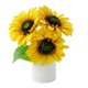 thumbnail image 1 of Luz de noche girasol con suave resplandor LED para dormitorio, habitación y decoración del hogar, 1 of 9