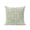 Sage, Olive, Moss, variant on 1 Pack Outdoor Throw Pillow, Teal Paisley Boho Waterproof Pillow with Insert Included, Abstract Art Floral Aesthetic Decorative Accent Cushion Sofa Pillows for Patio Porch, 16 x 16 In