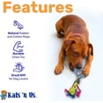 thumbnail image 3 of Kats 'N Us Puppy Teething Toys Dog Rope Rubber Chew Toy (1 Pack) Blue, 3 of 6