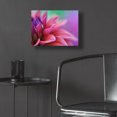 thumbnail image 5 of Epic Art 'Dahlia Petals Pink Purple' by Cora Niele, Acrylic Glass Wall Art, 16"x12", 5 of 8